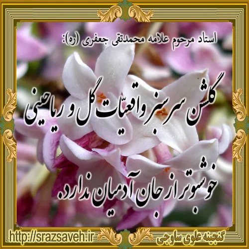 استاد مرحوم علامه محمدتقی جعفری (ره):