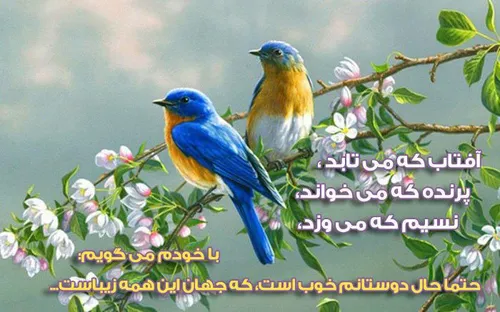 عکس نوشته maligh 13697665 - عکس ویسگون