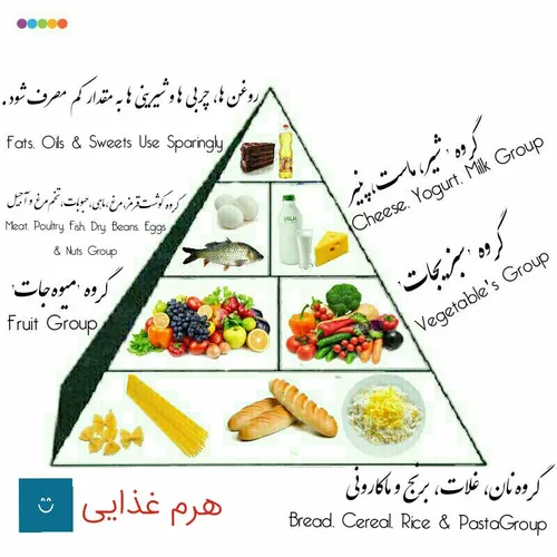 هرم غذایی کاروفناوری پایه هفتم ۷ تحقیق ، مشق درس و ...