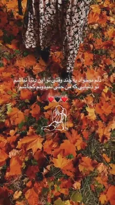 #باران ❣میگم: پاییز اگه خواننده بود صداش عین صدای #بنان ب