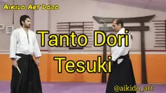 Aikido Art Dojo
Tanto Dori 
