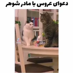 دعوای عروس با مادر شوهر