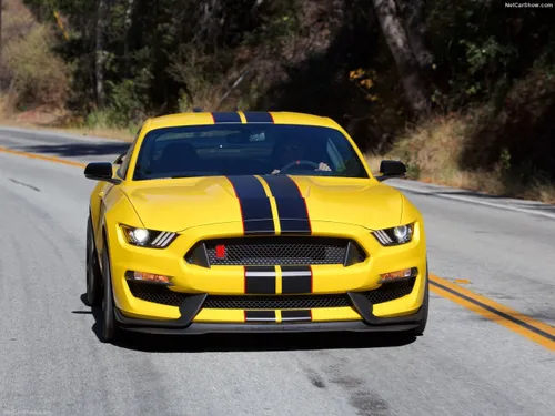 Ford shelby gt350r عجب چیز نازیه