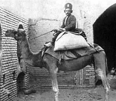 تصویر یک پستچی در زمان قاجار که با شتر نامه هارا میرساند