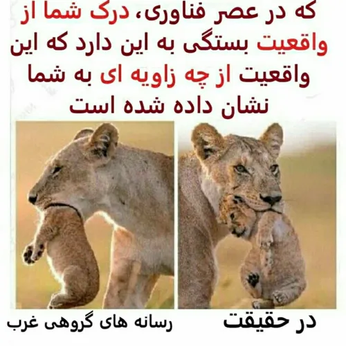 نگاه من به رسانه