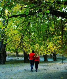 ‎مردان واقعی وفادارند#