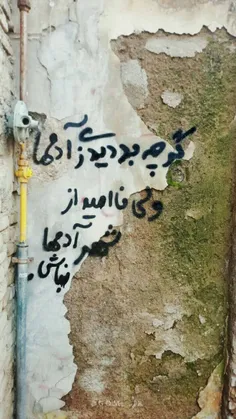 گرچه بد دیدی ز آدم ها ولی . . .