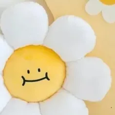 ── .✦ Limyori 🛵 ⋮ 🌻⌗ ┆⊹ ࣪ ˖ˎ