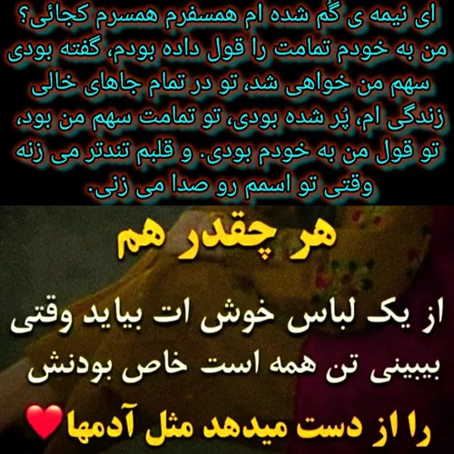 نیمه گمشده