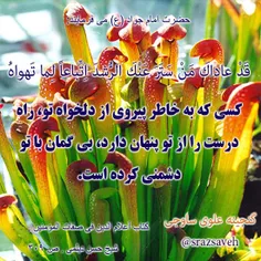 #حضرت_امام_جواد_ع می فرمایند: