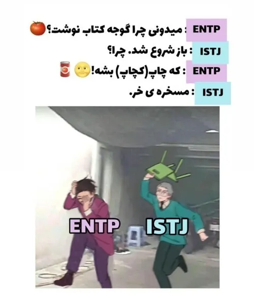 mbti ISTJ ENTP