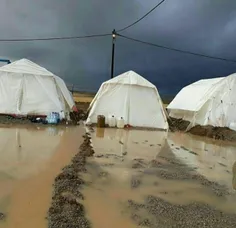 هنوز کردستان در چادر است... بجای حرف کمک کنین..! 😢 💕