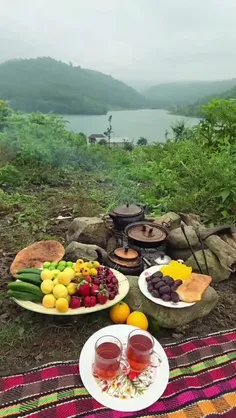 چند لحظه زندگی کن…