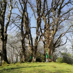 روستای چوشل