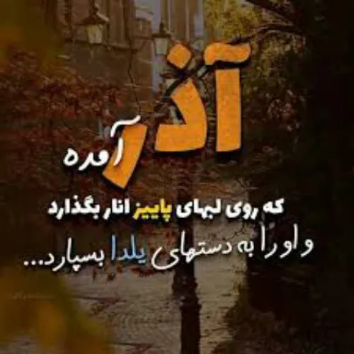 گوناگون mahdireza179 27870126 - عکس ویسگون