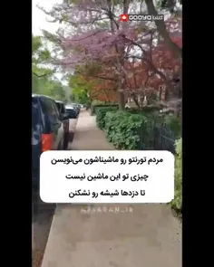 حرکت عجیب مردم تورنتو برای اینکه دزدها شیشه ماشینشون رو ن