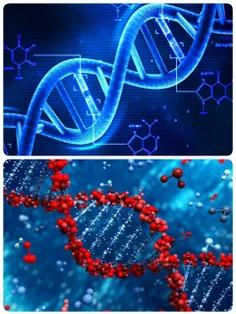 حدود 8% ژنوم انسان از DNA ویروسها تشکیل شده.