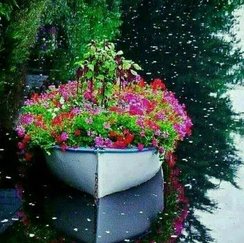 قایق زندگیتون پراز عطر گل