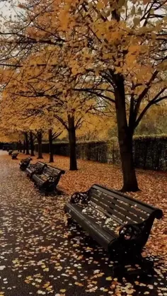 #پاییز🍂🍁🍂