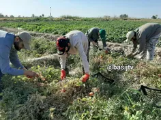 بسیجیان مثل همیشه پای کار