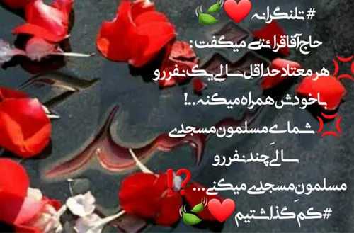 تلنگرانه ❤️🍃