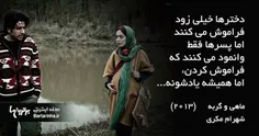 #ماهی#گربه