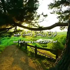 عبدالباسط عبدالصمد