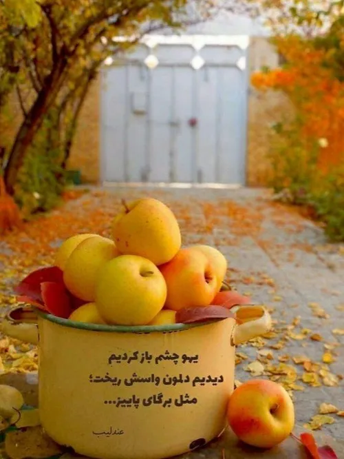 عکس نوشته