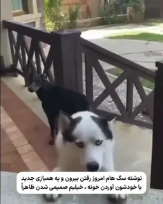 بزار برسی بعد حسودی کن😂😂😂