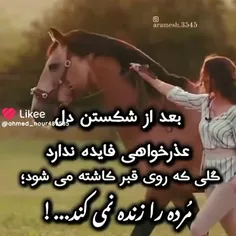 عذرخواهی فایده ای نداره 💔