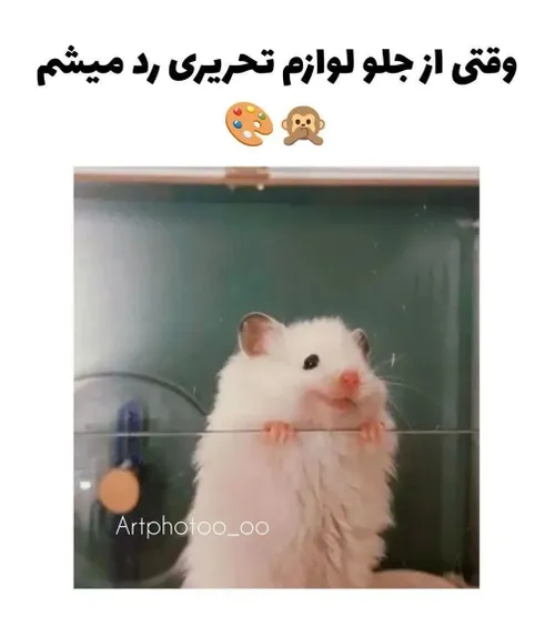 حققق🥲🤌🤣