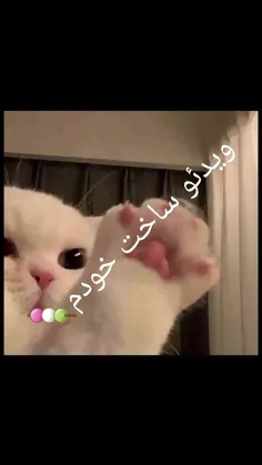 ساخت خودم🍡🫂🍷