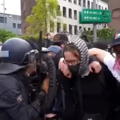زن زندگی آزادی به سبک پلیس هلند 