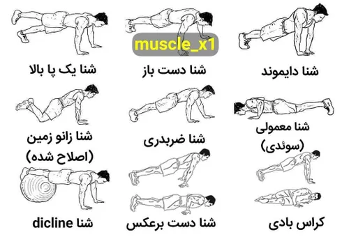 ورزش قهرمانی amo.saleh72 29604729 - عکس ویسگون