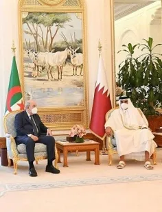 امروز دیدار امیر قطر با رئیس‌جمهور الجزائر بدون جوراب و ب