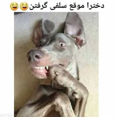 هههه