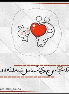 مجنون شو ای دل.جهان به هیچ نیارزد