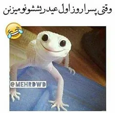 خخخخخخخخخخخ