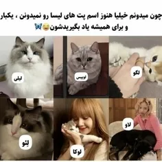 اسم پت های لیسا🌝💕