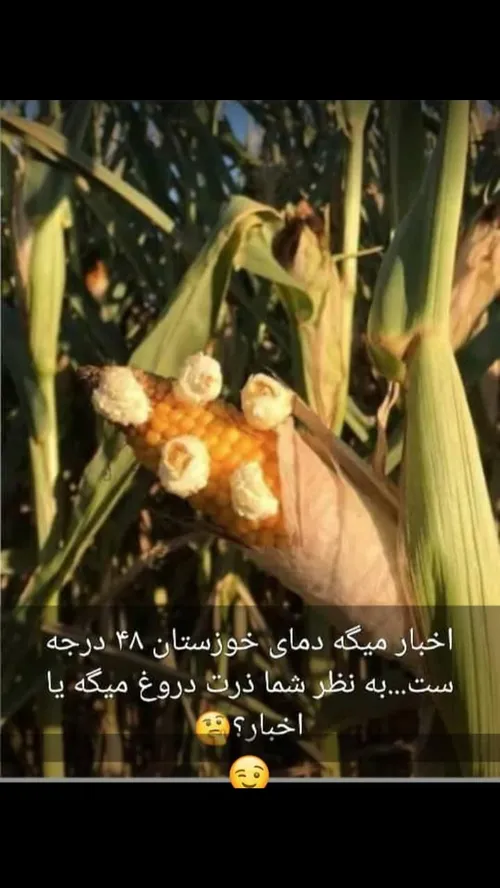 گرما