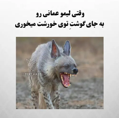 خیلی بده 😑