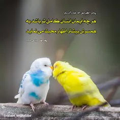 #پیامبر_اکرم صلی الله علیه و آله و سلم 