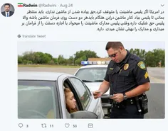 روایت یک ایرانی مقیم آمریکا از نحوه برخورد پلیس با رانندگ