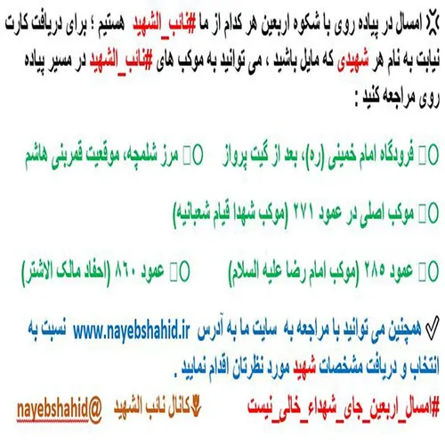 امسال در پیاده روی با شکوه اربعین هر کدام از ما نائب الشه