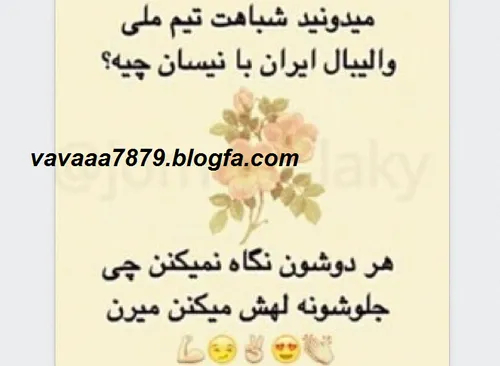 صددرصد