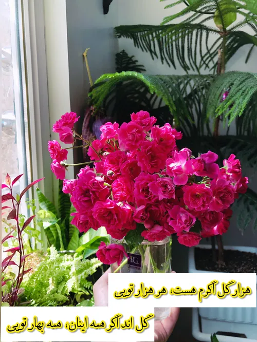 برای خواهری گلم😍💕 @sanaz.khanomm