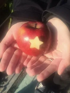 ┏━━━━━━━🌙━━━━━━━┓