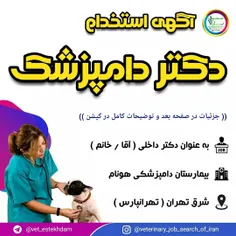 استخدام دکتر دامپزشک در یک بیمارستان دامپزشکی در تهران