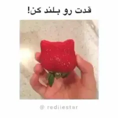 لایک و فالو یادتون نره 🤍