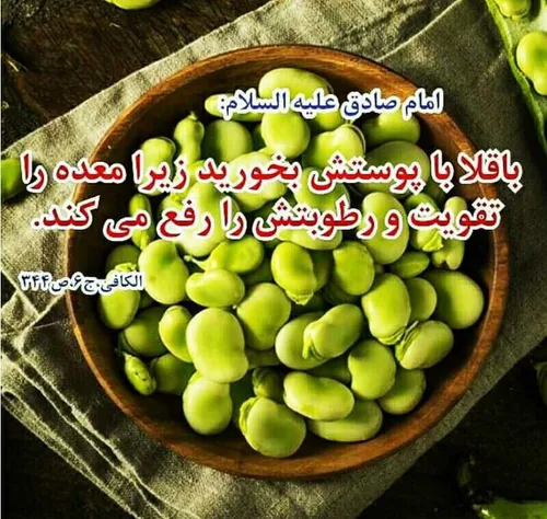 امام صادق ع سلامتی غذا باقلا معده